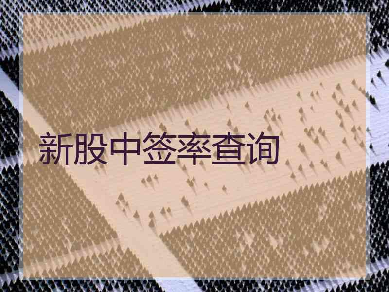 新股中签率查询