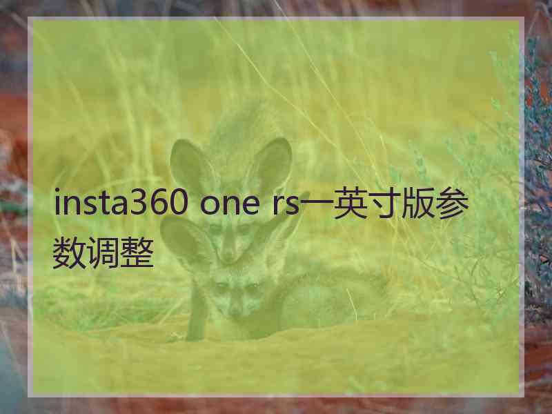 insta360 one rs一英寸版参数调整