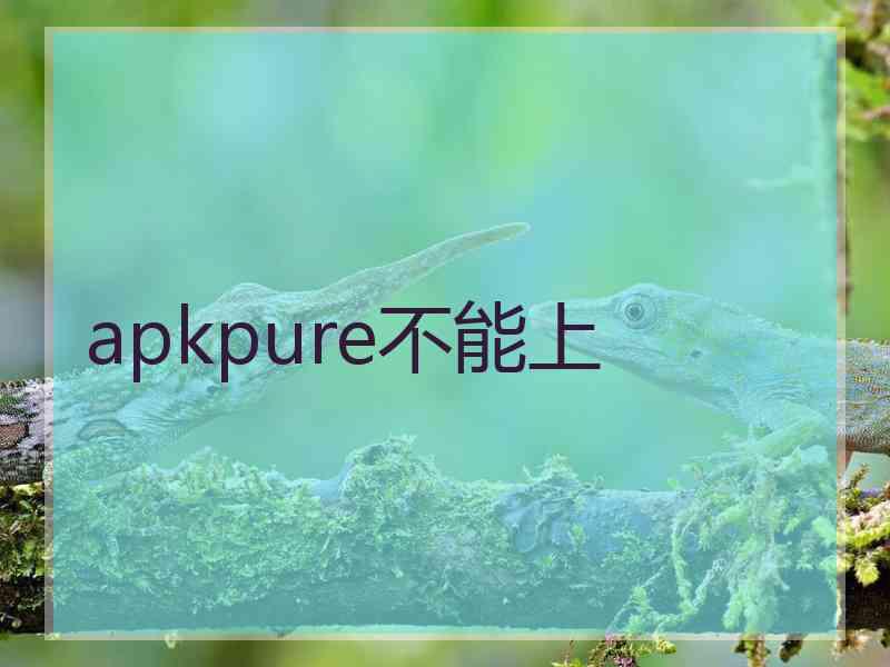 apkpure不能上