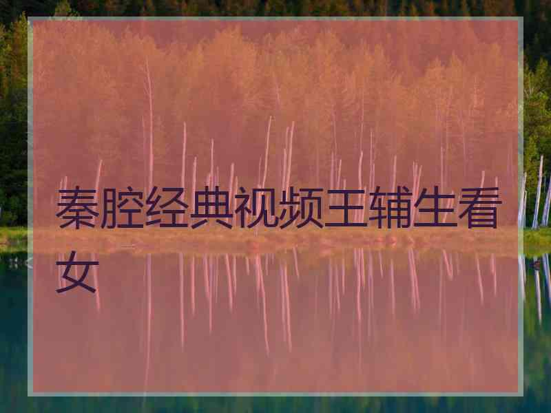 秦腔经典视频王辅生看女