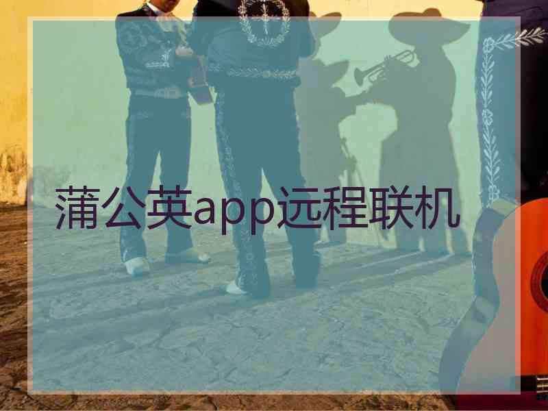 蒲公英app远程联机