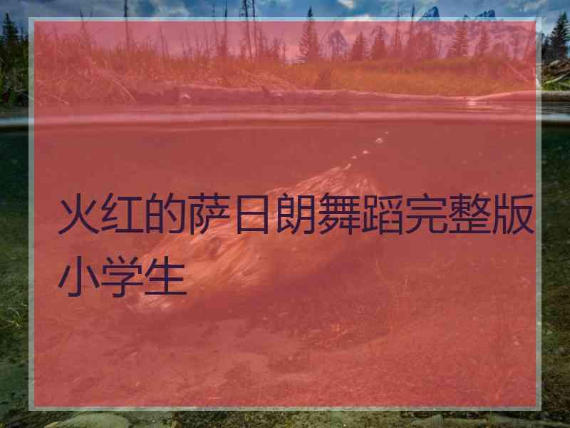 火红的萨日朗舞蹈完整版小学生