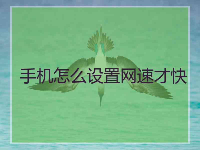 手机怎么设置网速才快