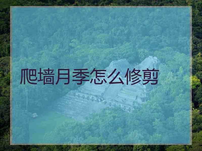 爬墙月季怎么修剪