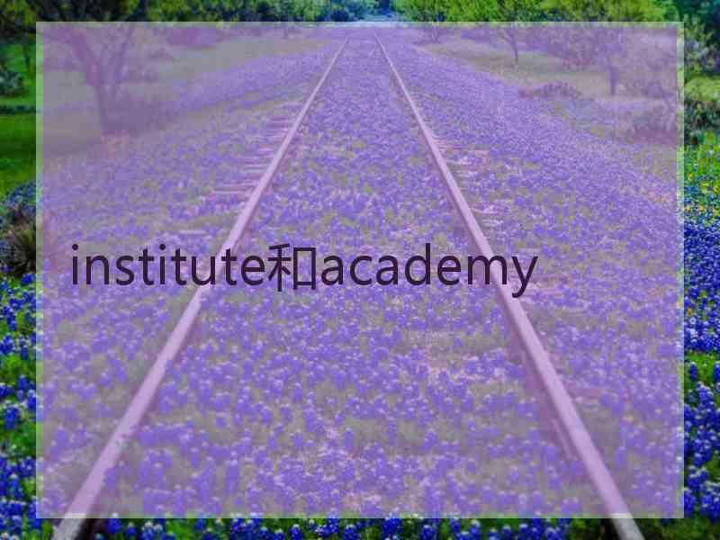 institute和academy