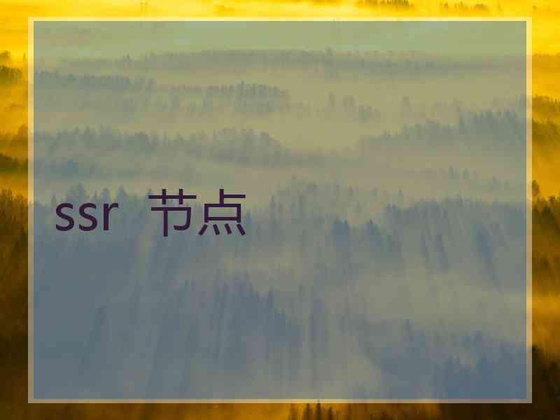 ssr  节点
