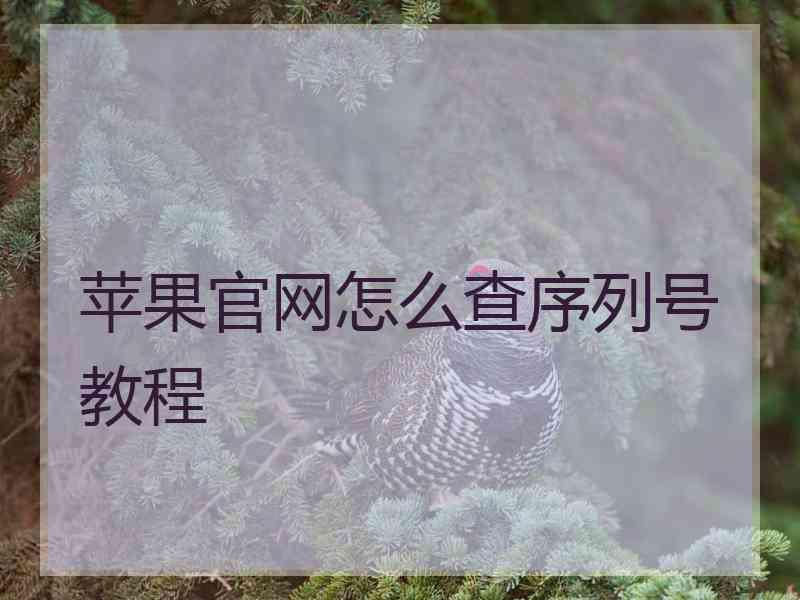 苹果官网怎么查序列号教程