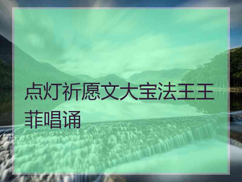 点灯祈愿文大宝法王王菲唱诵