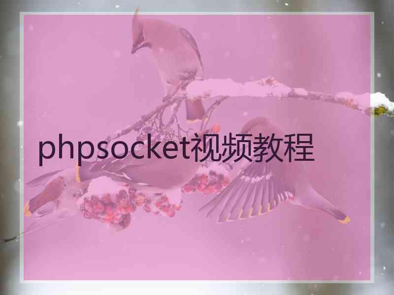 phpsocket视频教程