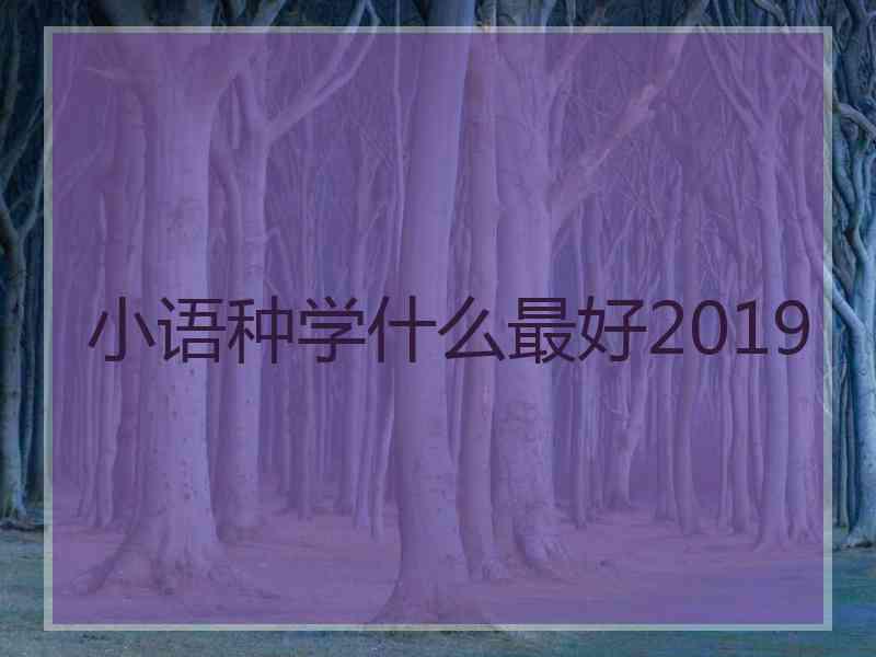小语种学什么最好2019