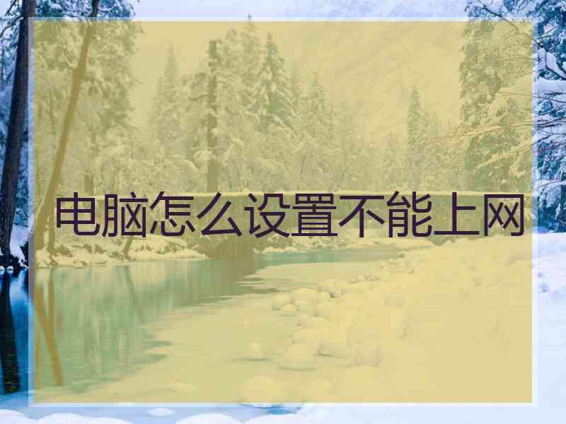 电脑怎么设置不能上网