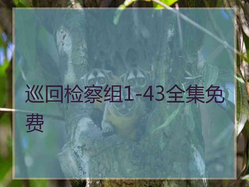巡回检察组1-43全集免费