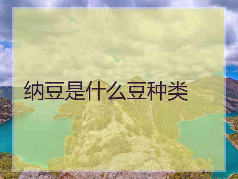 纳豆是什么豆种类