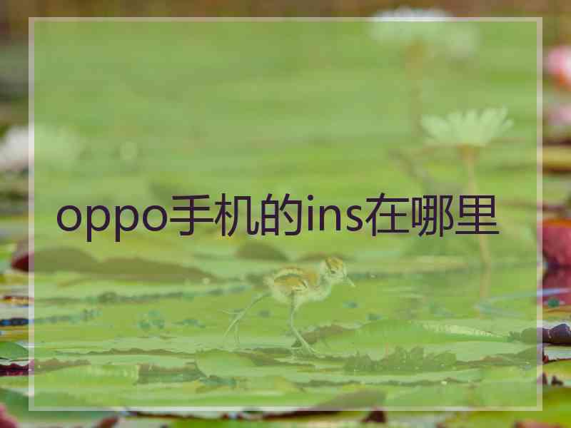 oppo手机的ins在哪里