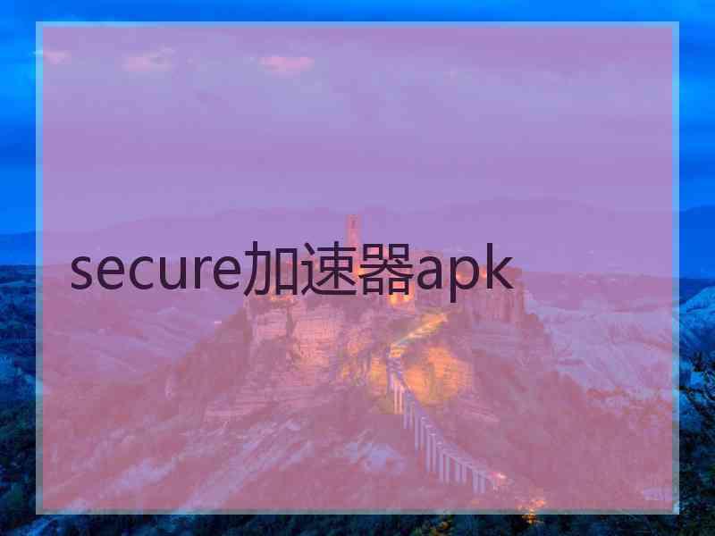 secure加速器apk