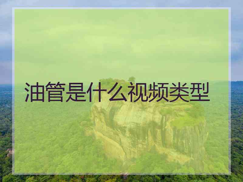 油管是什么视频类型