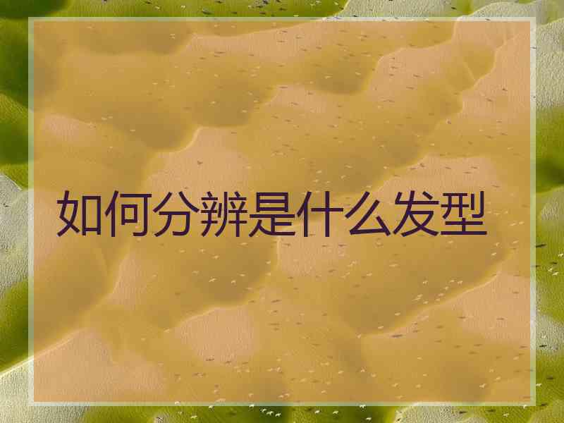 如何分辨是什么发型