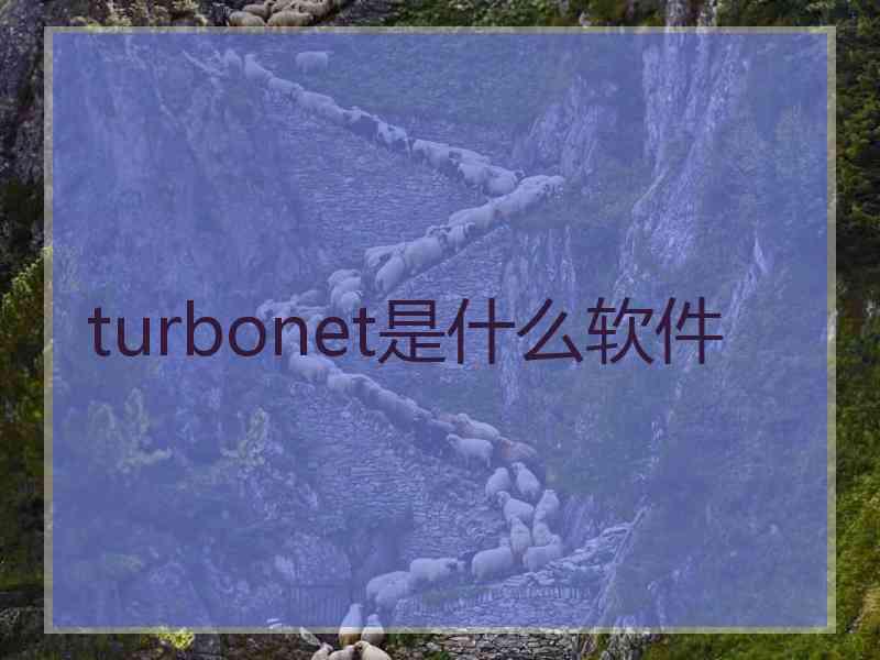 turbonet是什么软件