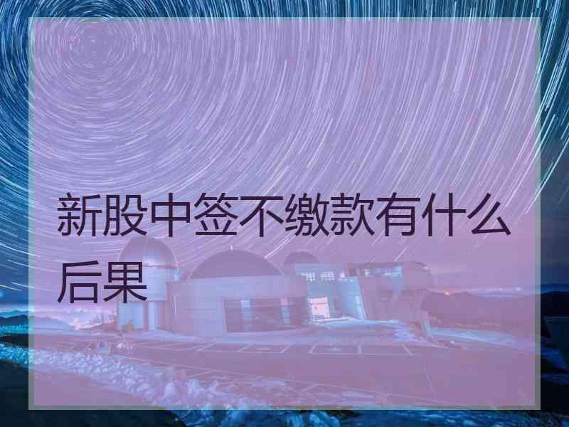 新股中签不缴款有什么后果