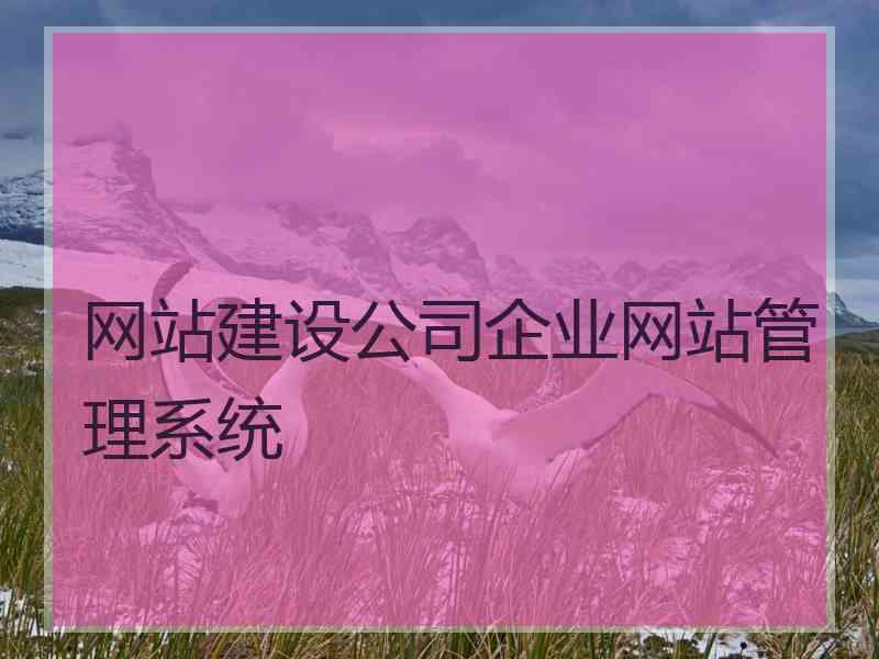 网站建设公司企业网站管理系统