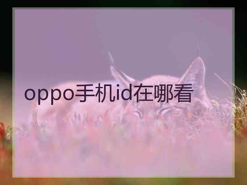oppo手机id在哪看