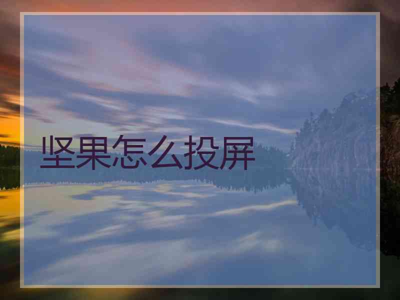 坚果怎么投屏