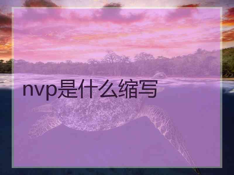 nvp是什么缩写