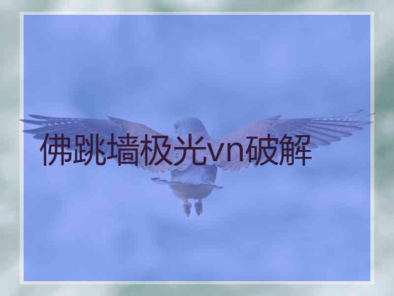 佛跳墙极光vn破解