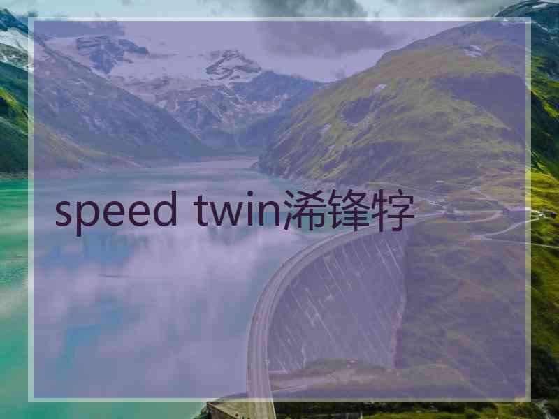 speed twin浠锋牸
