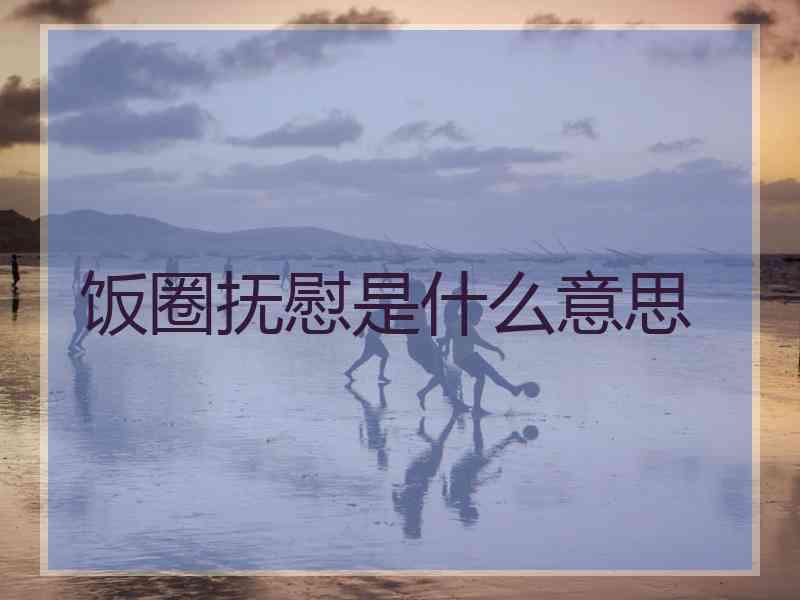 饭圈抚慰是什么意思