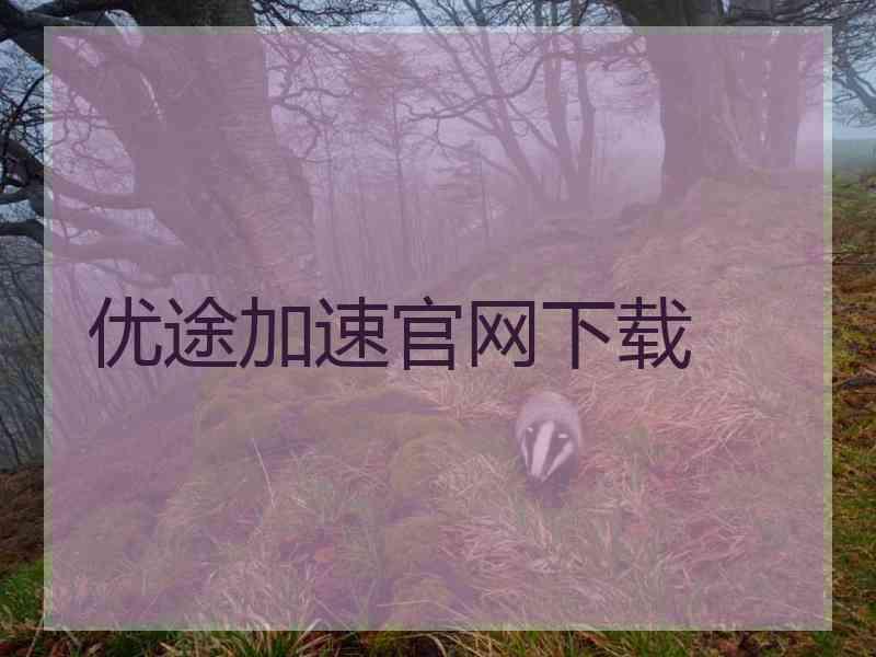 优途加速官网下载