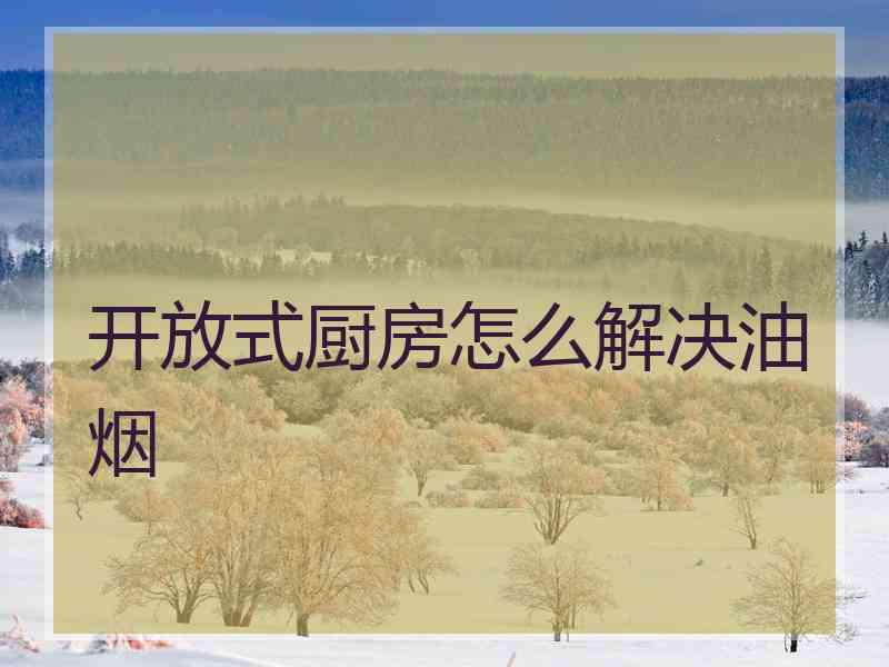 开放式厨房怎么解决油烟