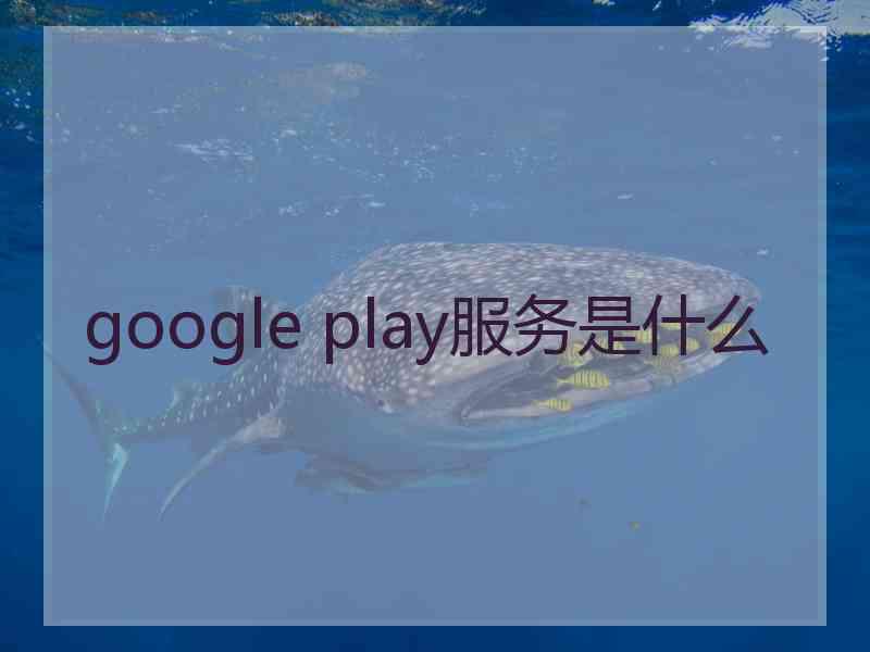 google play服务是什么