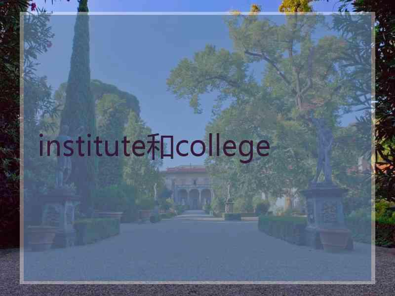 institute和college
