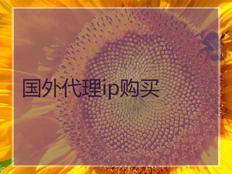 国外代理ip购买
