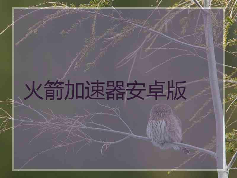 火箭加速器安卓版