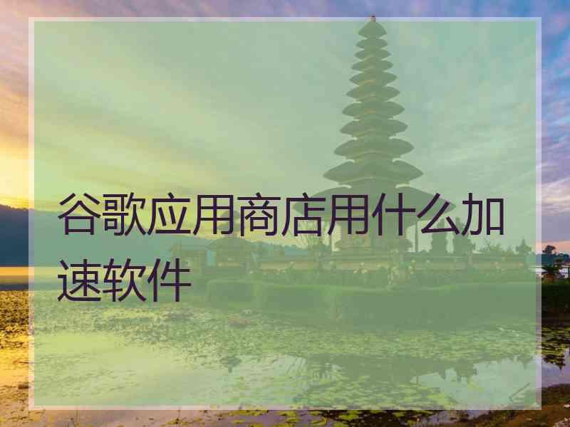 谷歌应用商店用什么加速软件