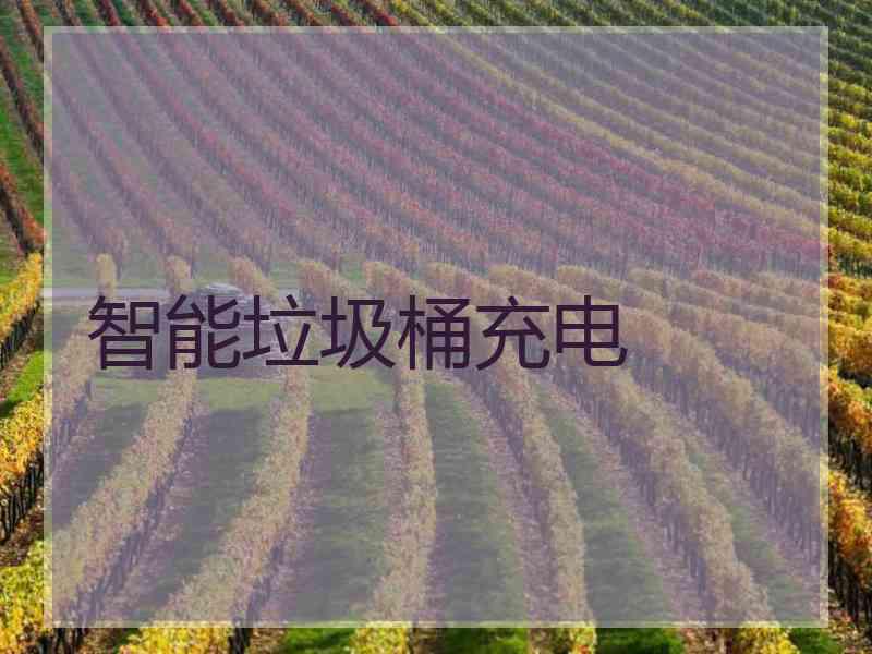 智能垃圾桶充电