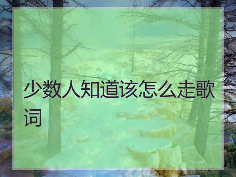 少数人知道该怎么走歌词