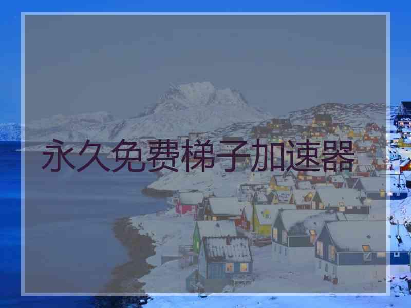 永久免费梯子加速器