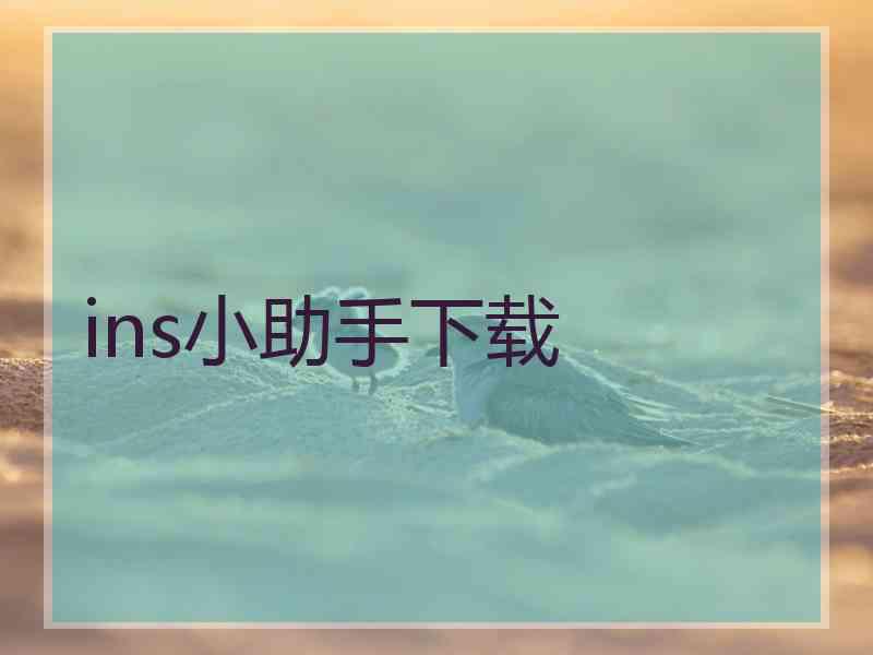 ins小助手下载