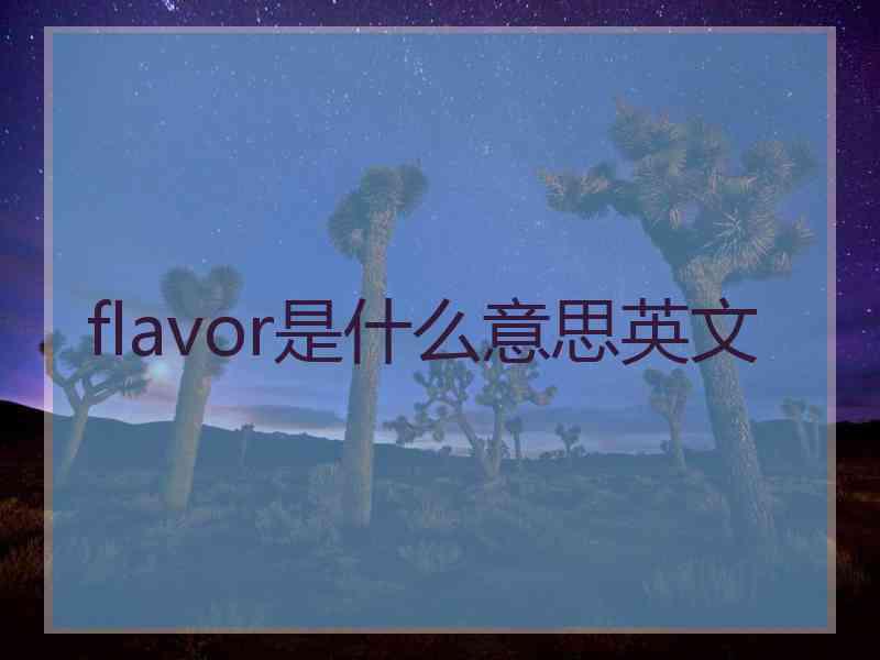 flavor是什么意思英文