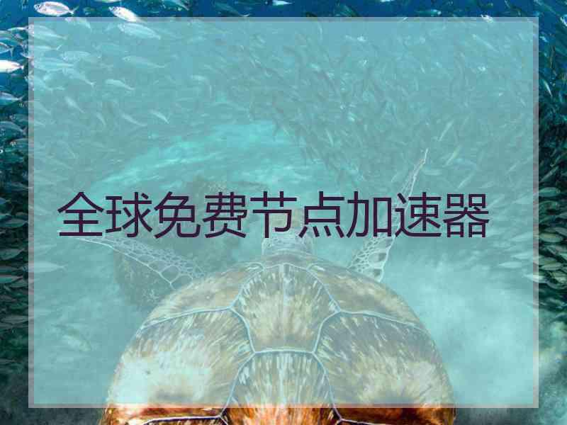 全球免费节点加速器