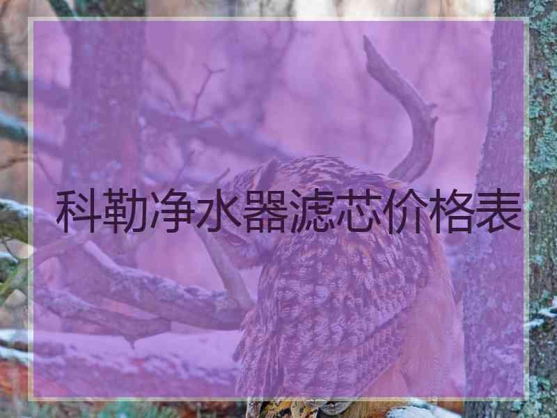 科勒净水器滤芯价格表