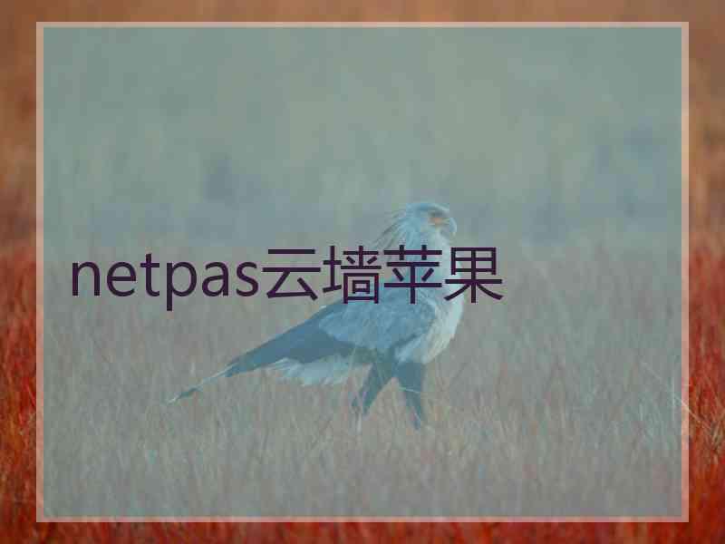 netpas云墙苹果