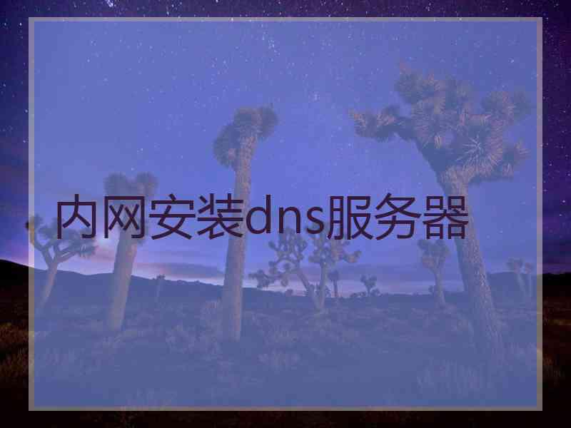 内网安装dns服务器