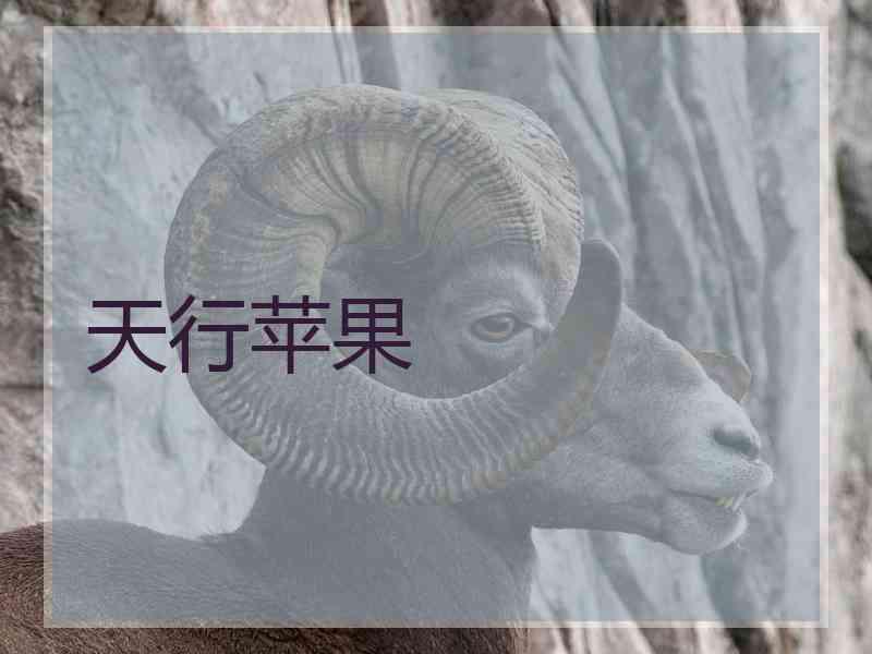 天行苹果