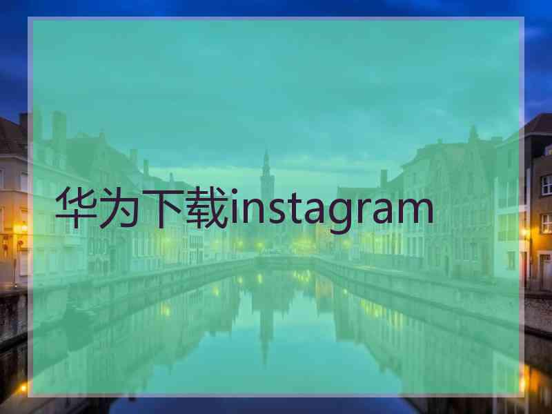 华为下载instagram