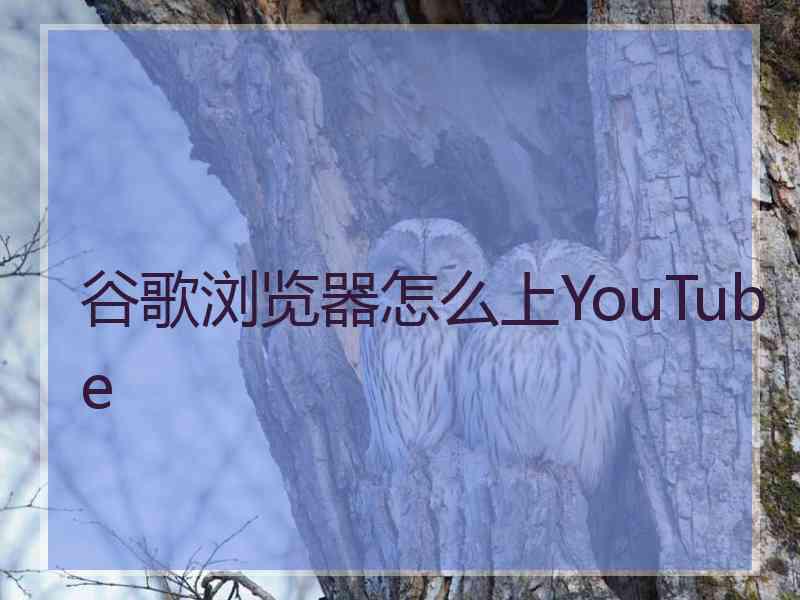 谷歌浏览器怎么上YouTube