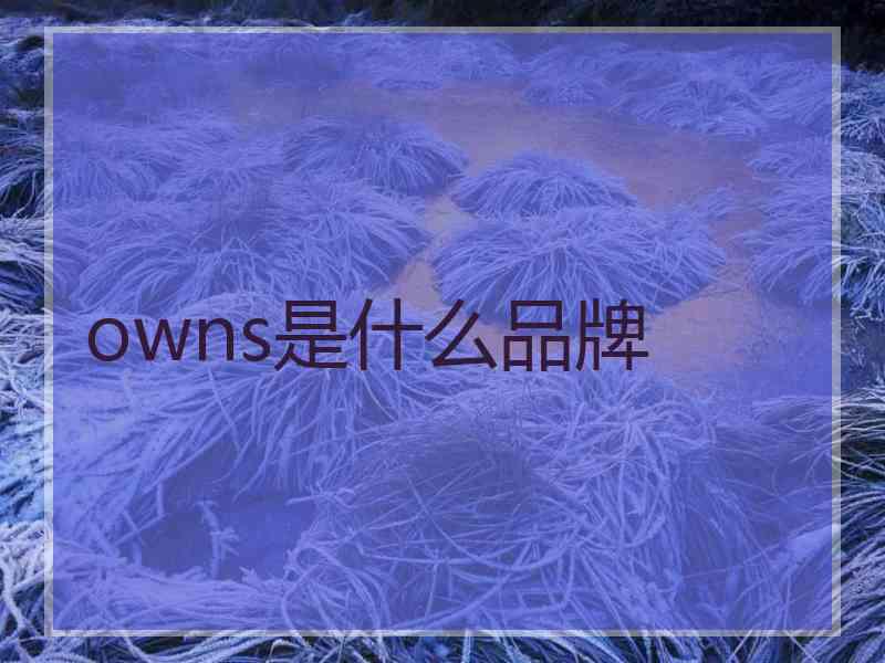 owns是什么品牌